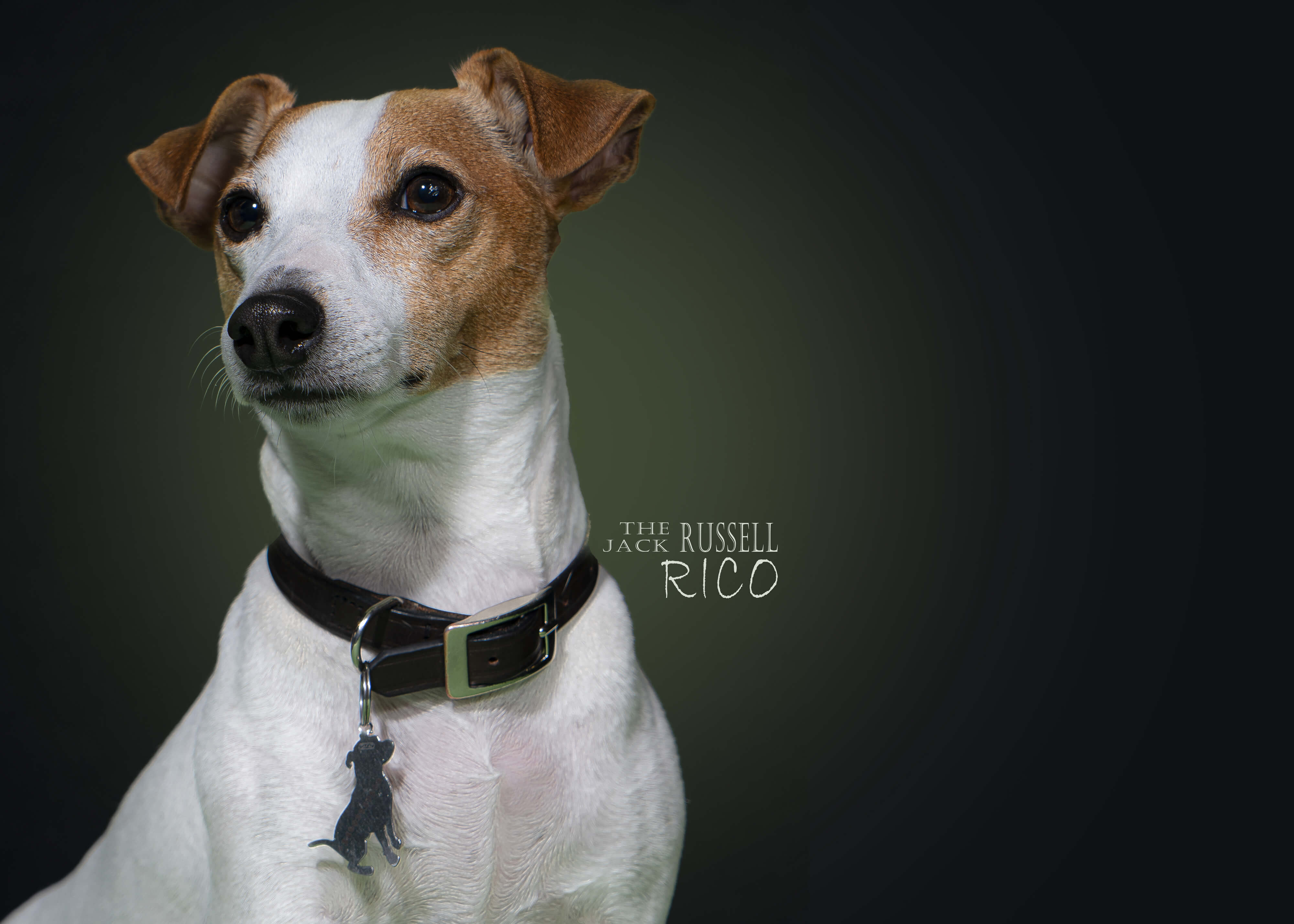 Mehdi Ghasemi PHOTOGRAPHY