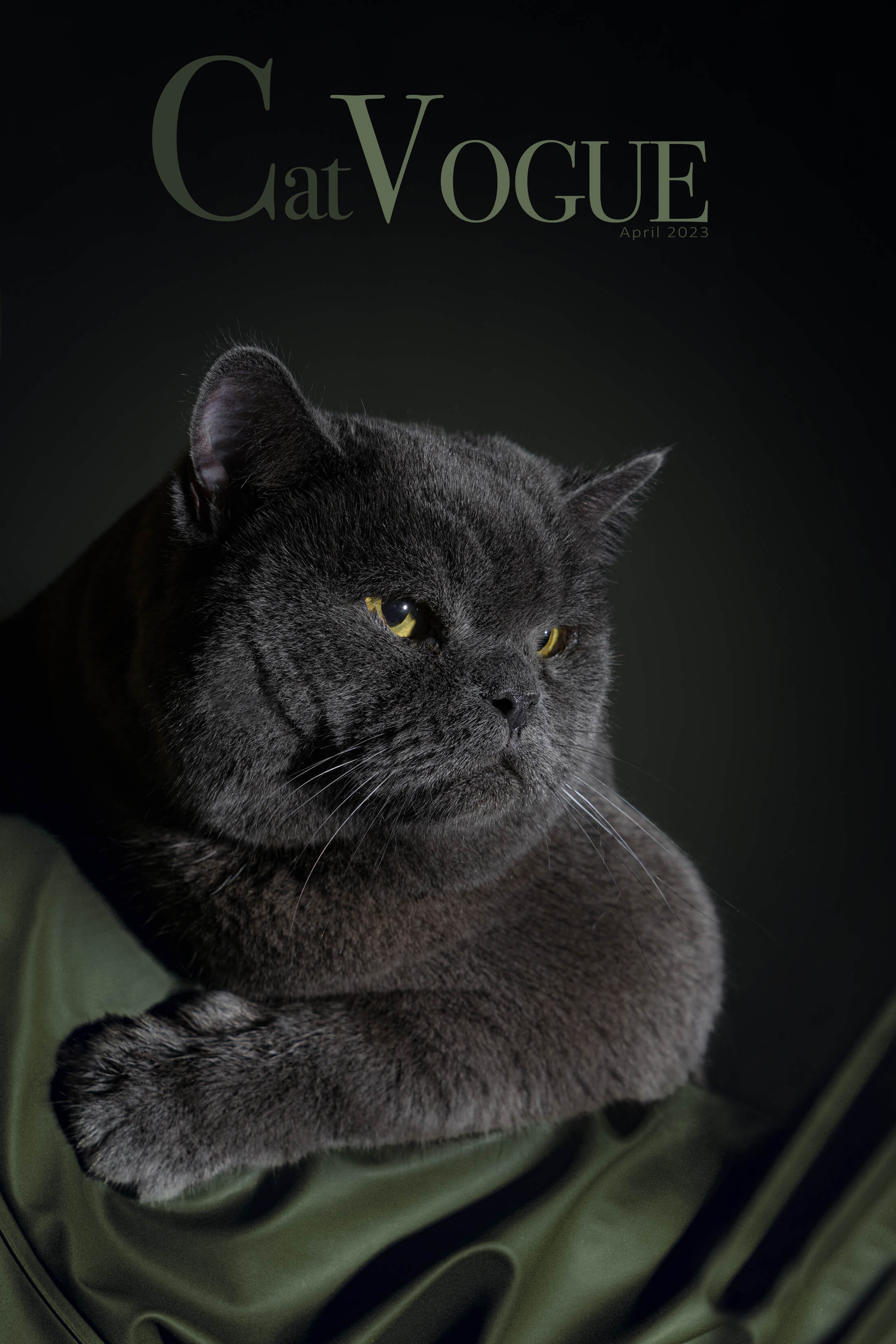 Mehdi Ghasemi PHOTOGRAPHY