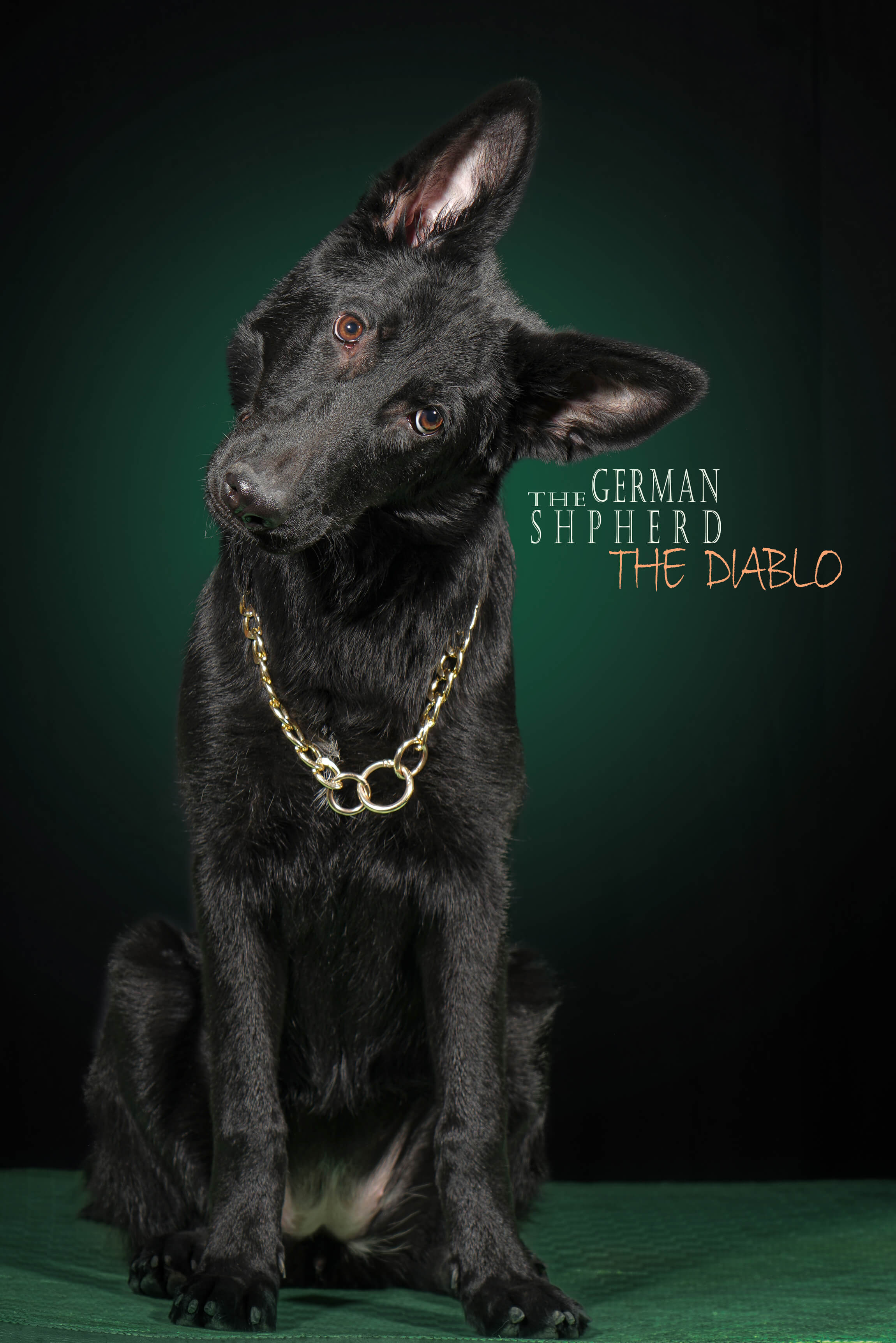 Mehdi Ghasemi PHOTOGRAPHY