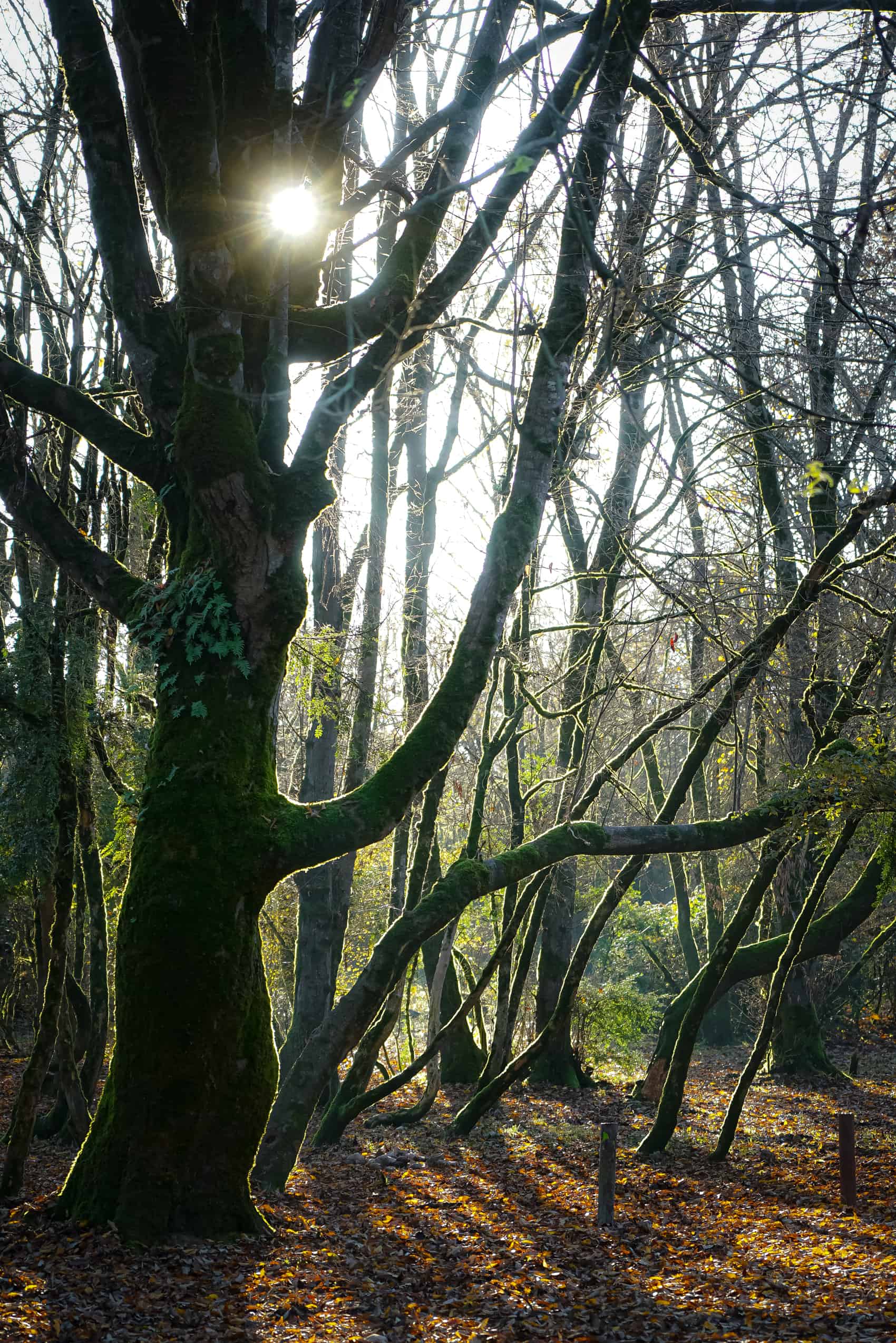 Mehdi Ghasemi PHOTOGRAPHY