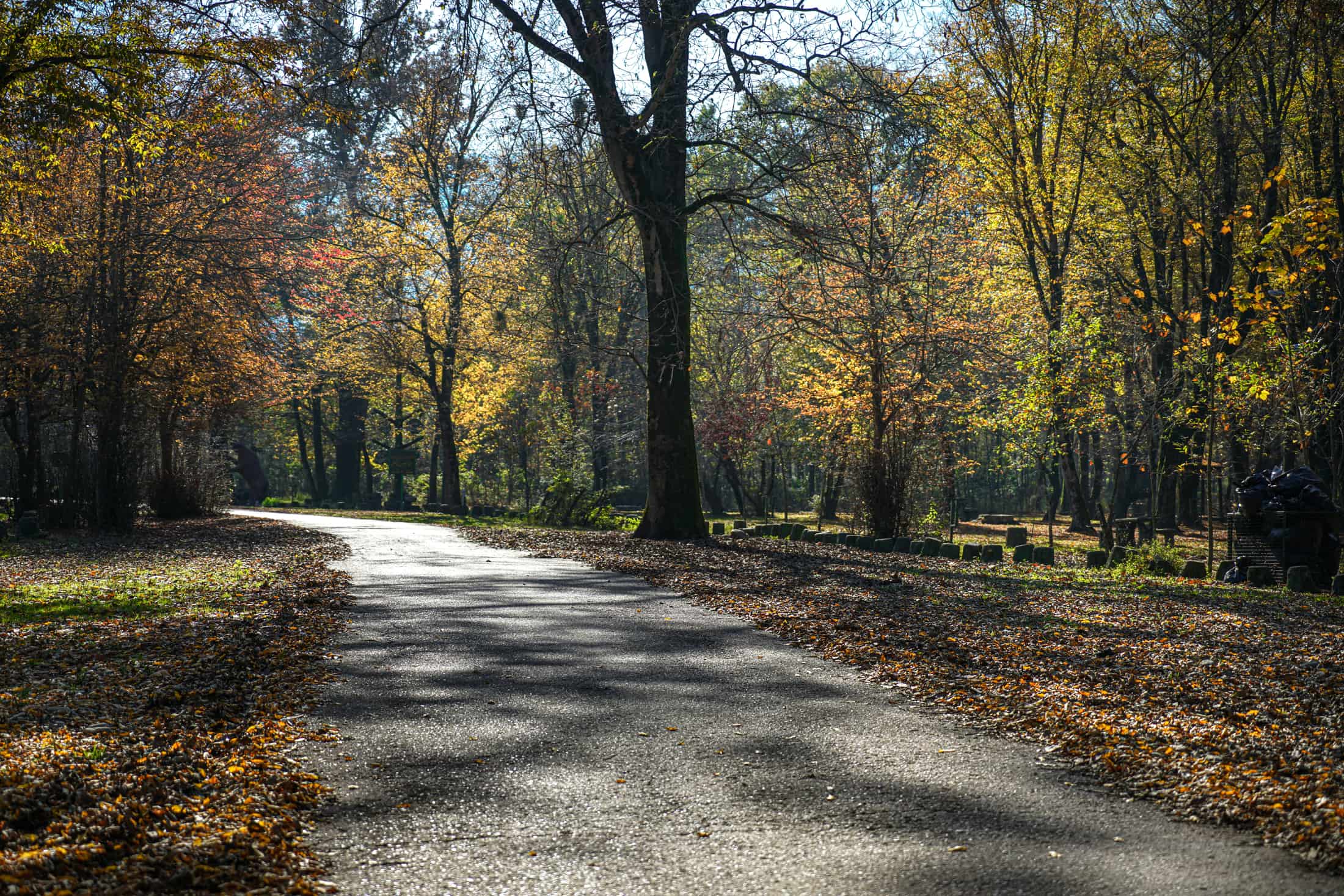 Mehdi Ghasemi PHOTOGRAPHY