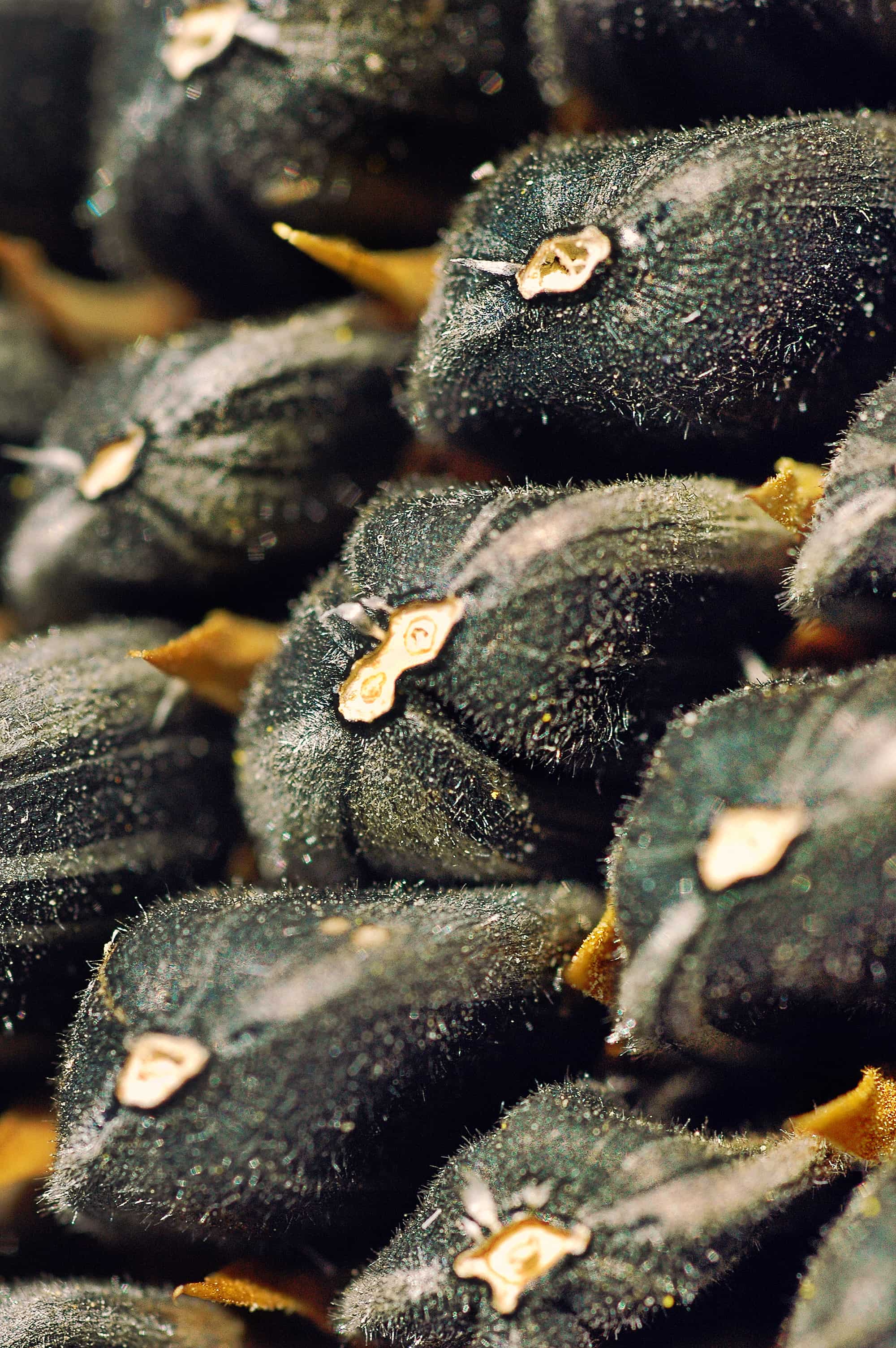 Mehdi Ghasemi PHOTOGRAPHY