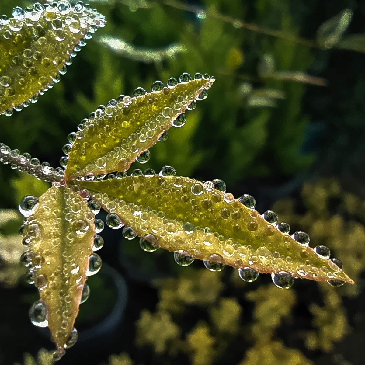 Mehdi Ghasemi PHOTOGRAPHY