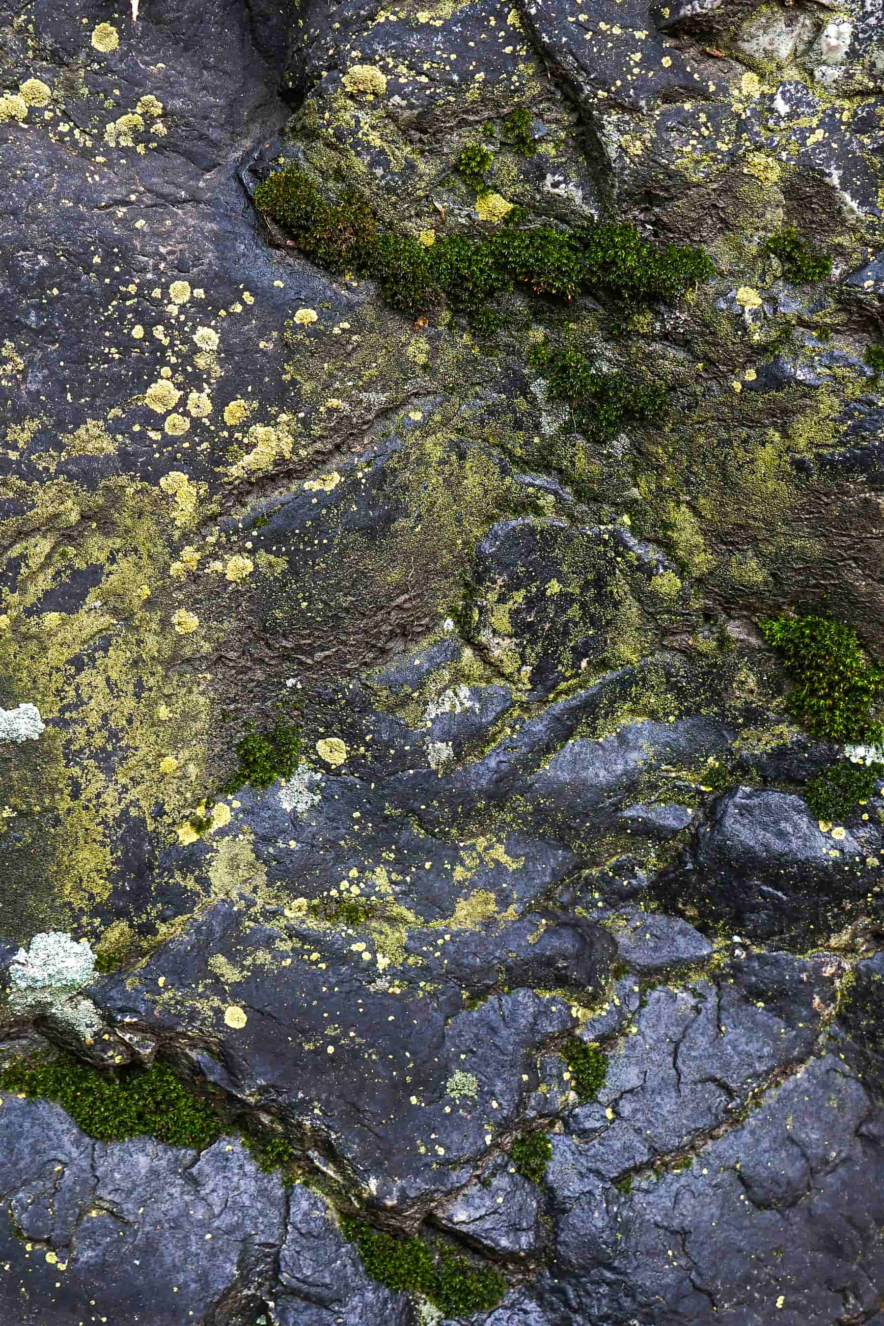 Mehdi Ghasemi PHOTOGRAPHY